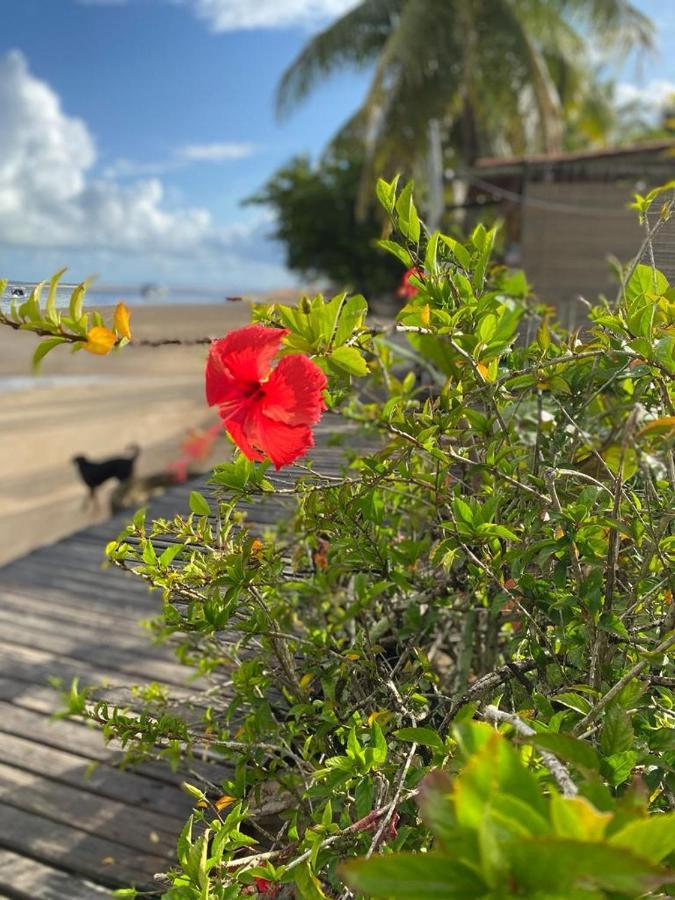 Estalagem Sol De Boipeba Hotell Velha Boipeba Eksteriør bilde